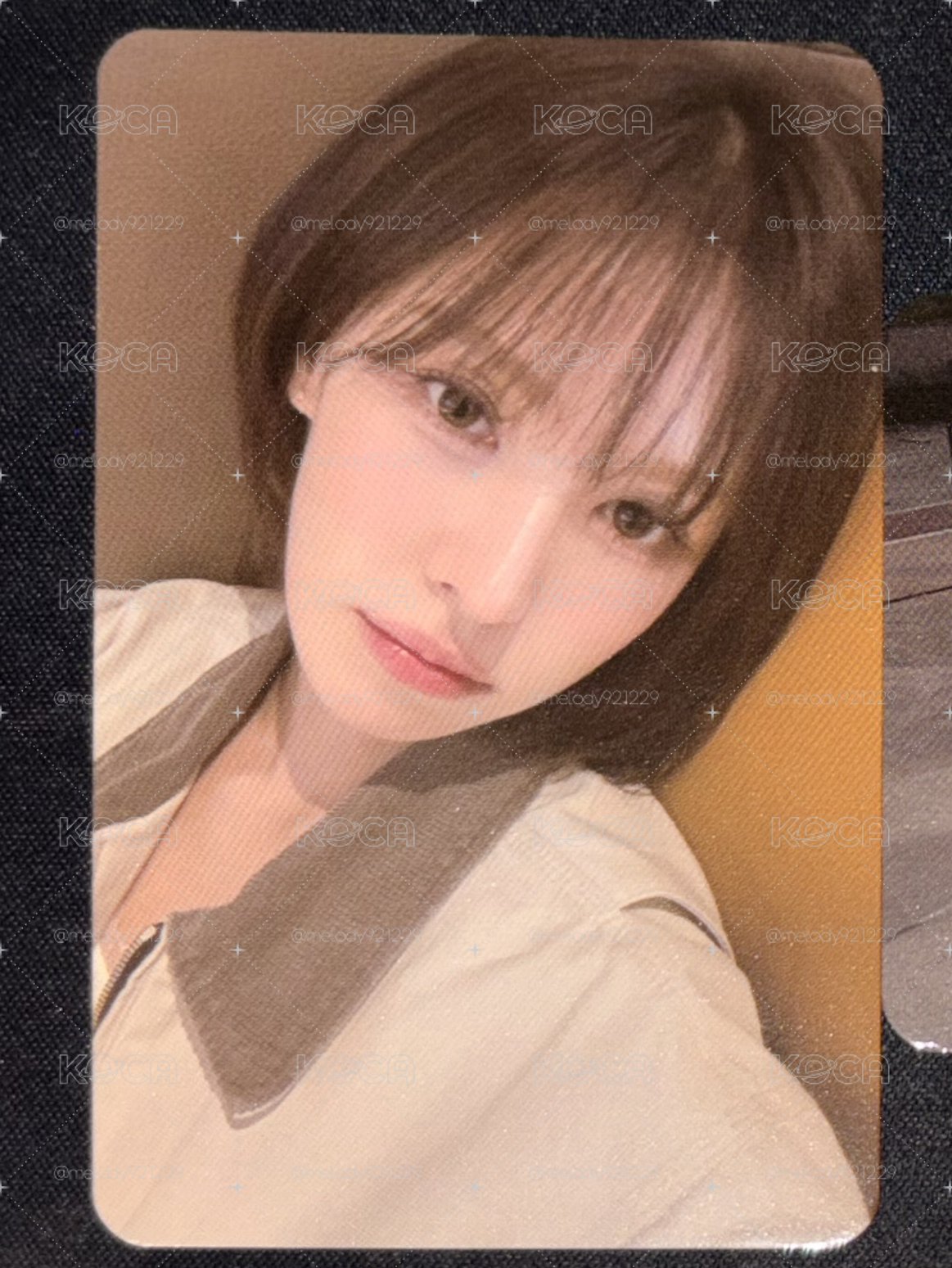 Wendy女神櫻花季小卡🌸
