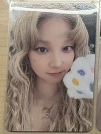 K4貓掌琦（中背）