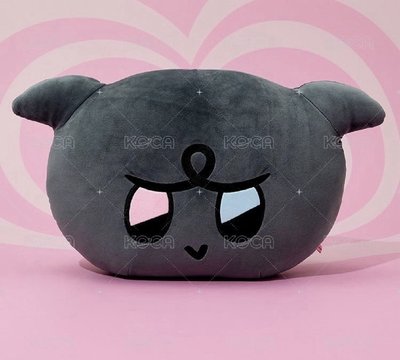 抱枕全新未使用❗️袋子有損不含卡❗️