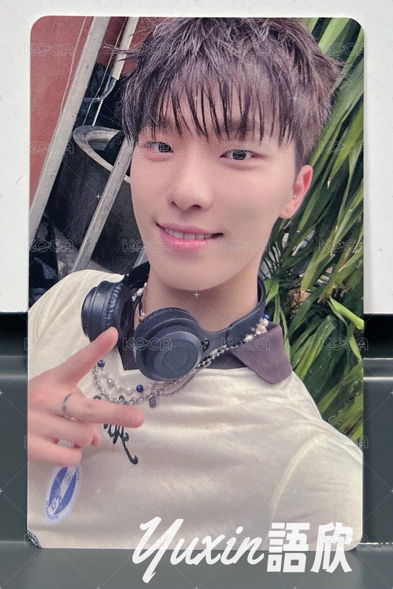 Dino