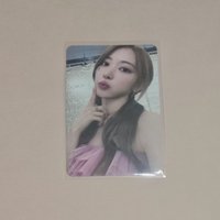 櫻花專卡（有廠損）