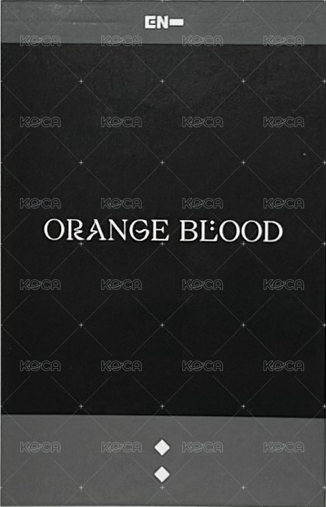 迷五 yzy 特典卡 上海限定復刻拍立得 背面