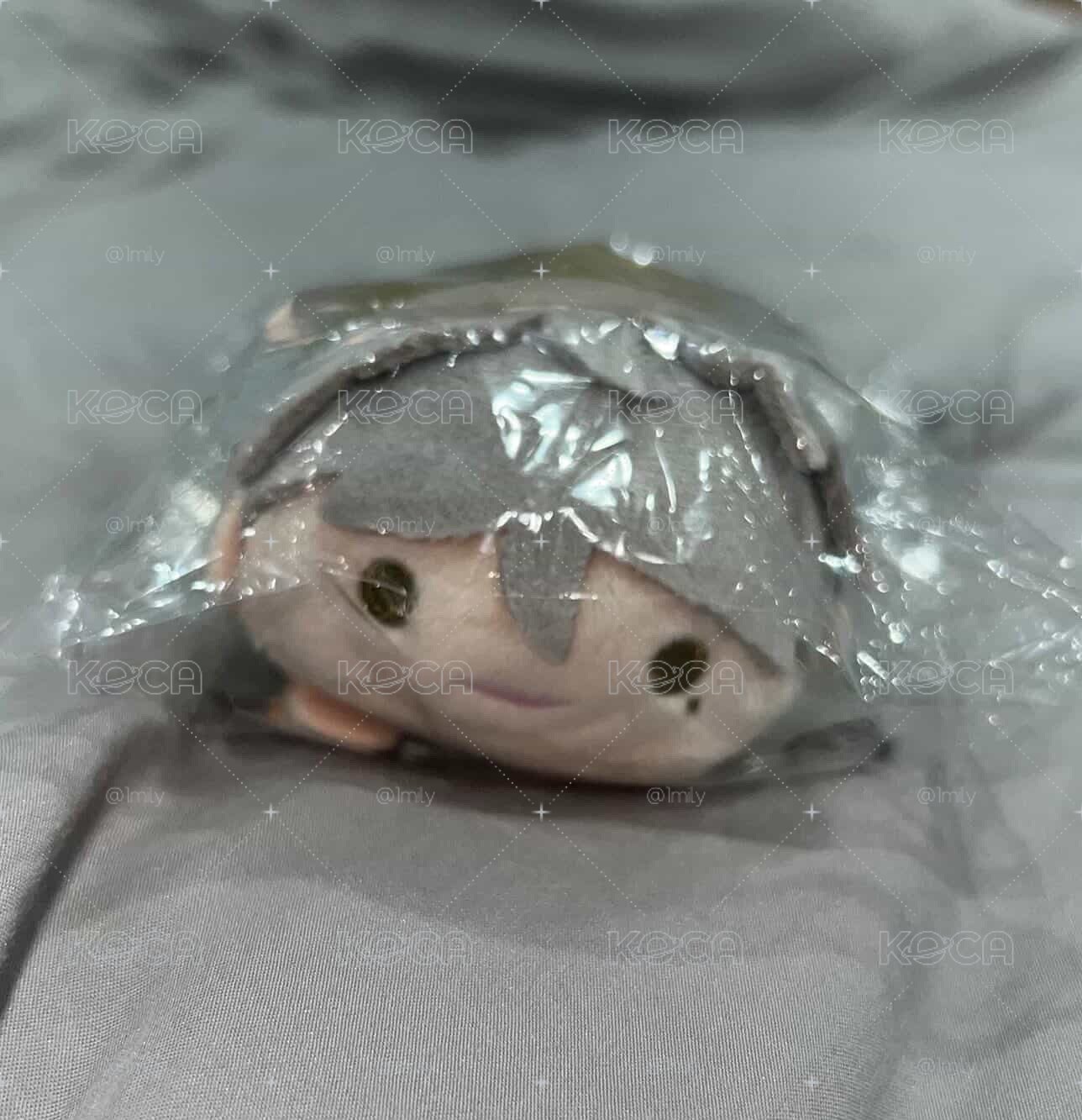 菅原十週年趴娃