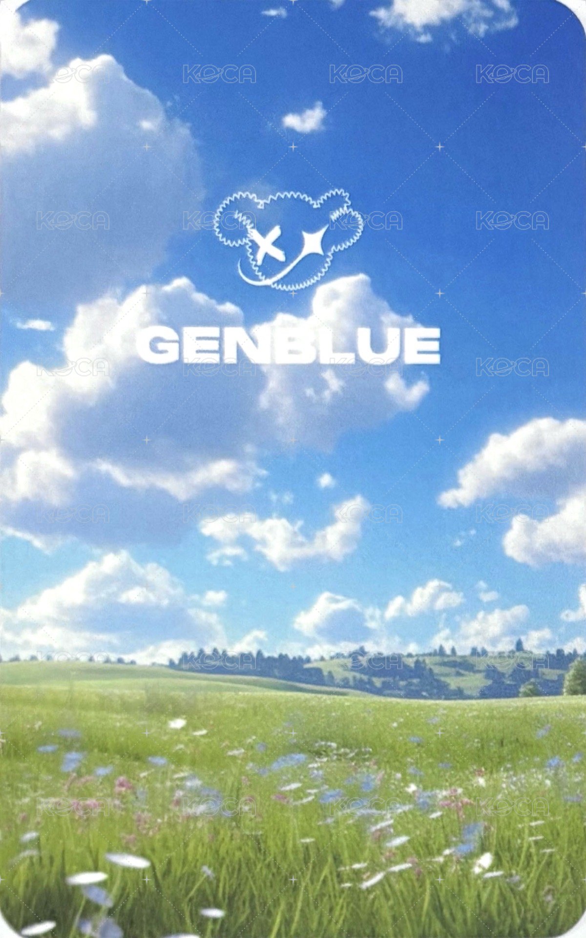 MIRROR INTO OURSELVE 周邊卡 熊頭造型悠遊卡 背面