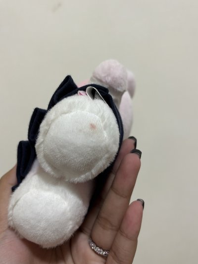 ranini（娃+娃衣）