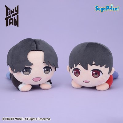 TinyTAN Dynamite 笑笑臉 中趴