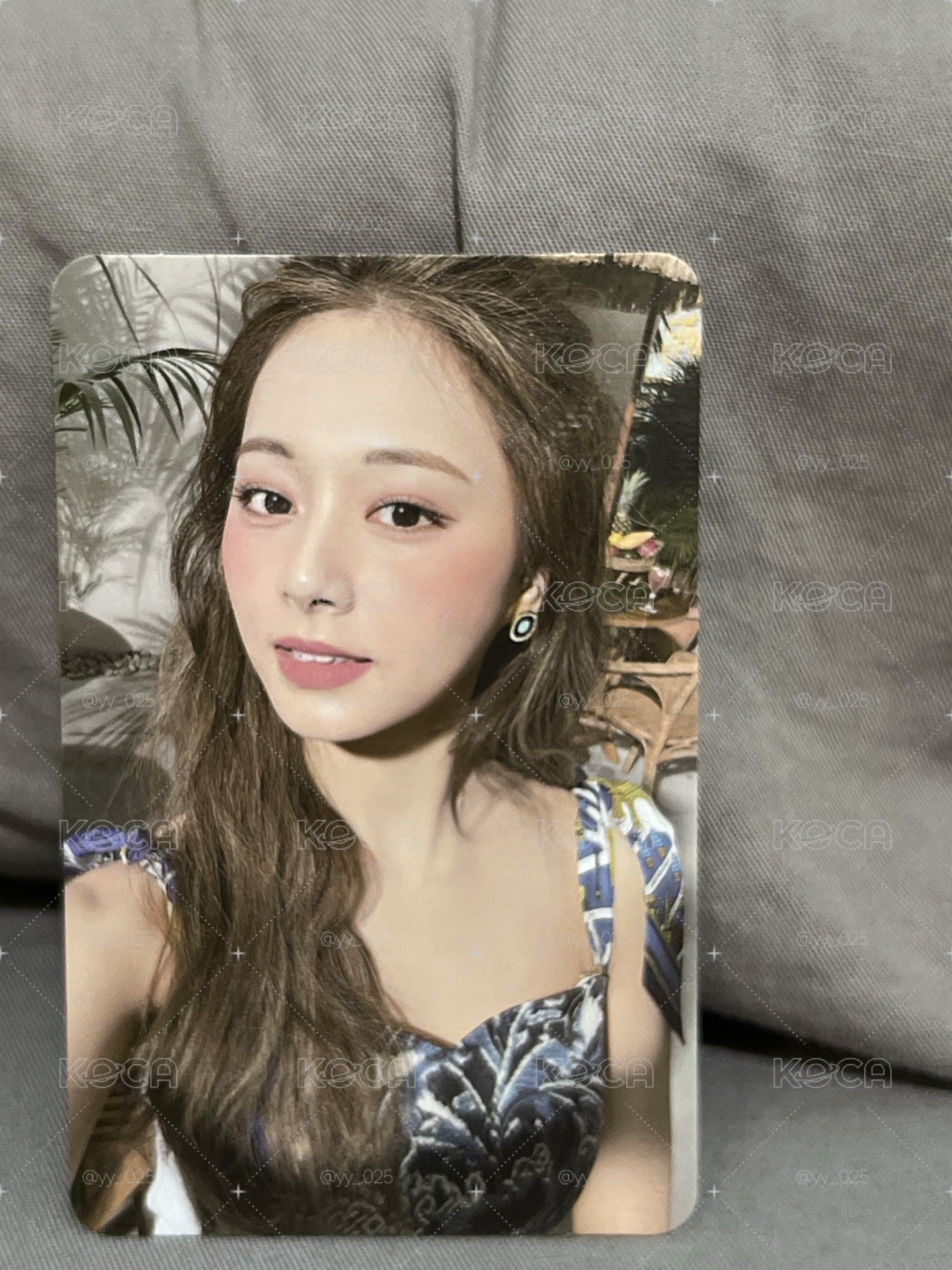子瑜小盤✨✨