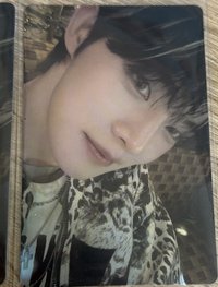 Snowy Summer 專輯卡 