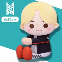 TinyTAN Mic Drop 中娃 抱娃
