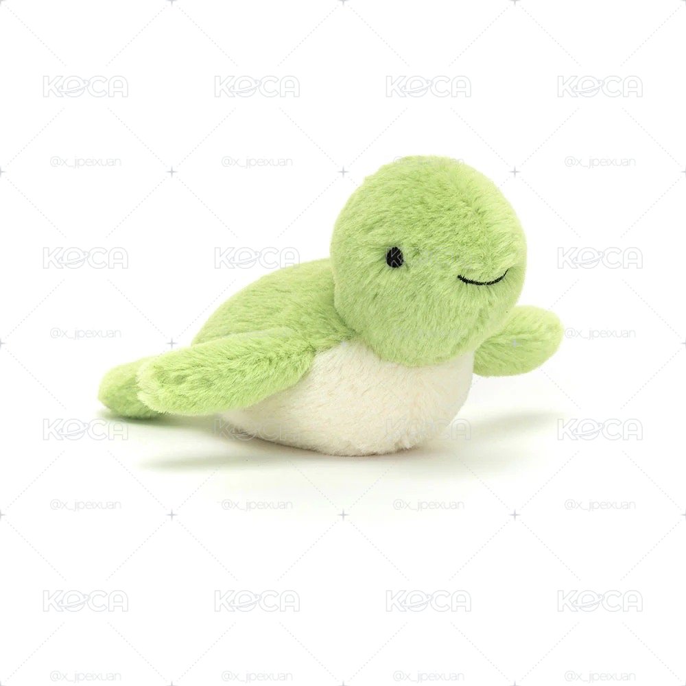 Fluffy Turtle