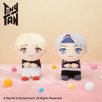 TinyTAN  &you 趴娃 中娃 