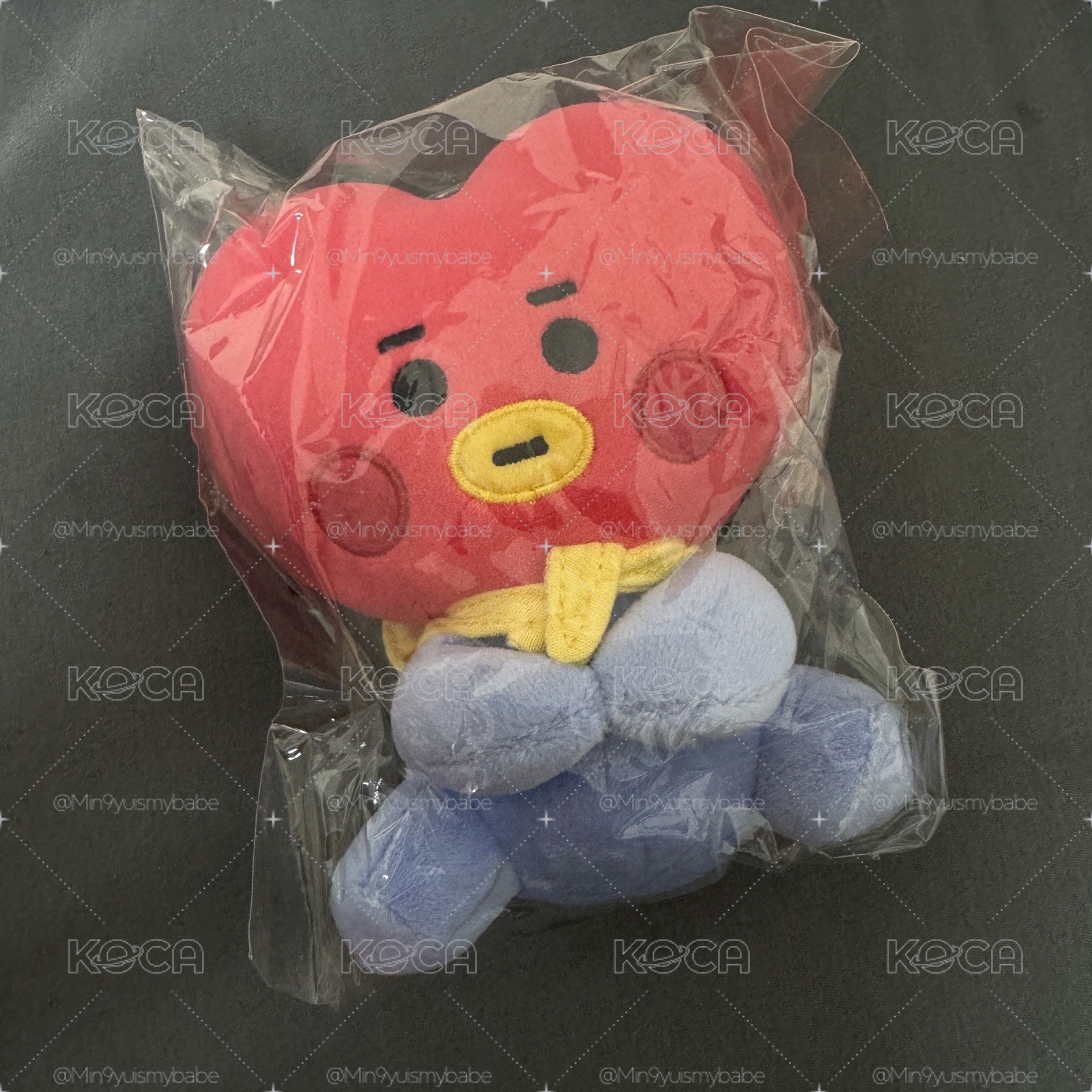BT21 baby TATA♥️塔塔