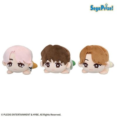 PetiTEEN SECTOR17 趴趴