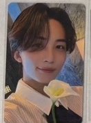 東京場限 白蓮淨（綁$200）