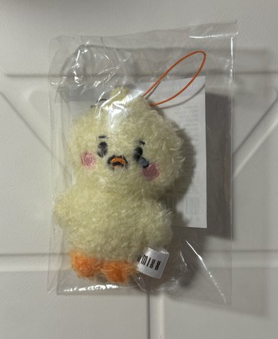 Nmixx Fm裴小娃（標價含捆）