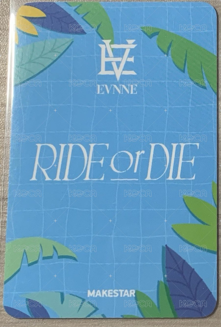 RIDE or DIE ms 特典卡  背面