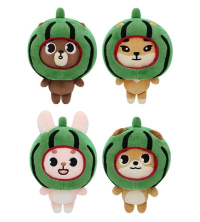 DAY6 FY地方場週娃衣 吐司西瓜餃子 無原袋有吊牌