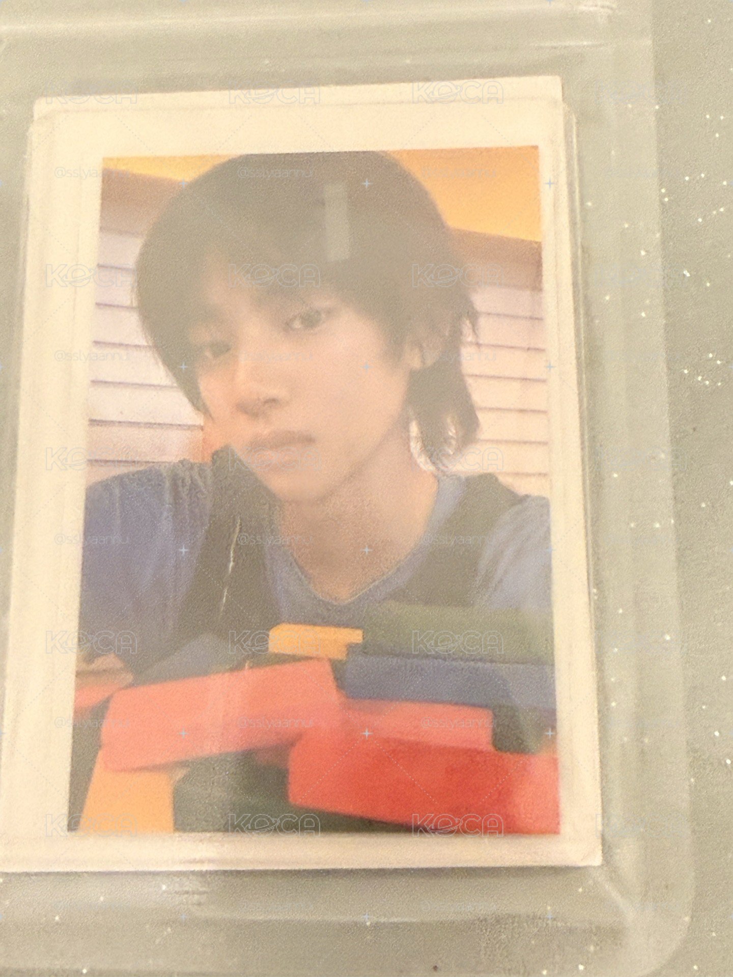 wvs簽售訓 