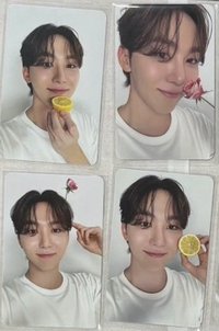 精選專克拉盤隨機卡 寛一套