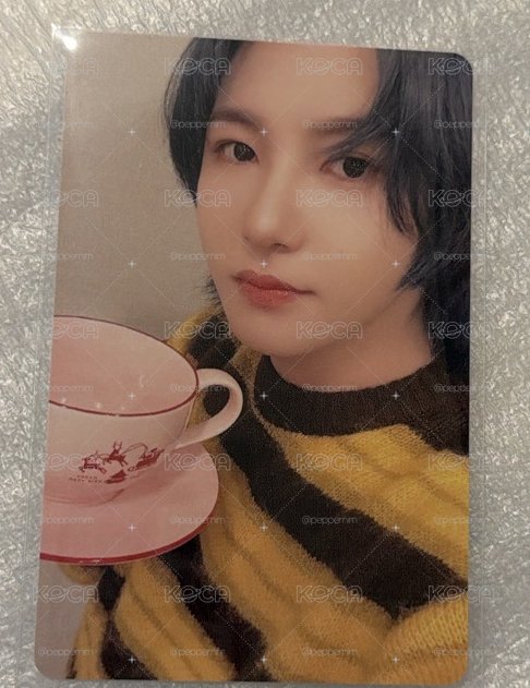 臉跟茶杯一樣的仁俊尼