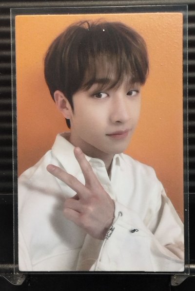 帽子小狼(雙面卡)