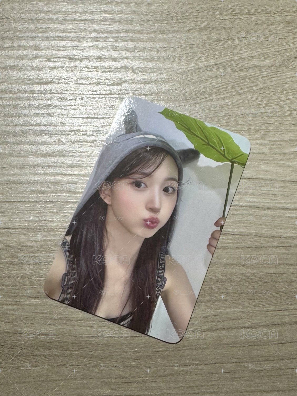 NMIXX 龍貓嫄