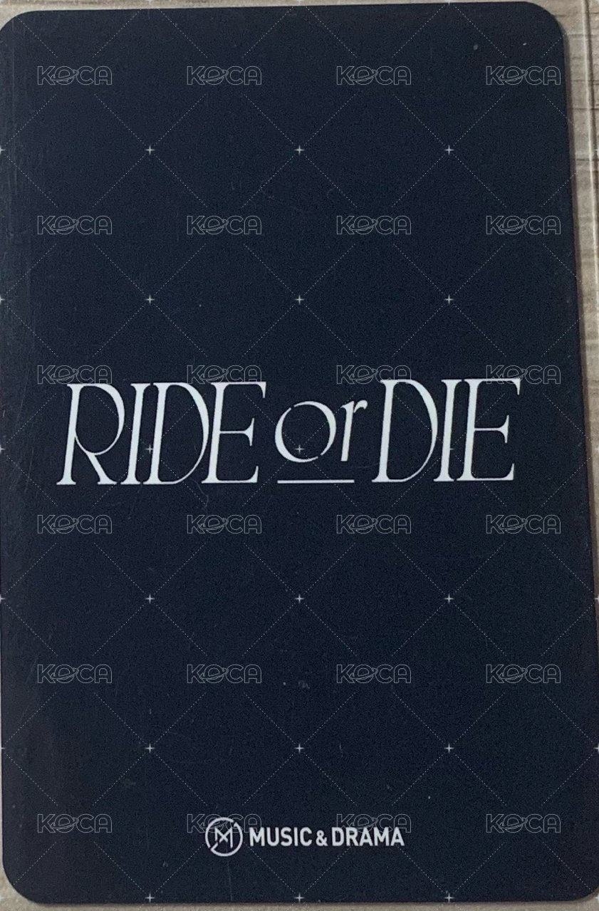 RIDE or DIE md 特典卡  背面
