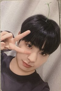 HOT MESS ms 特典卡 