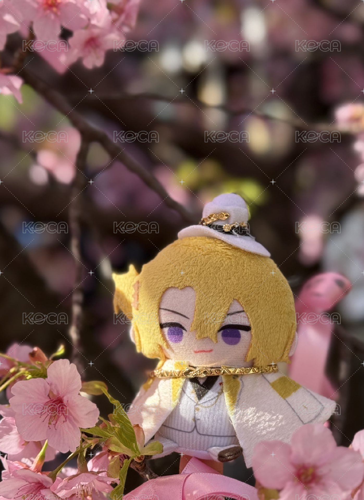 luca WishesAndWonders