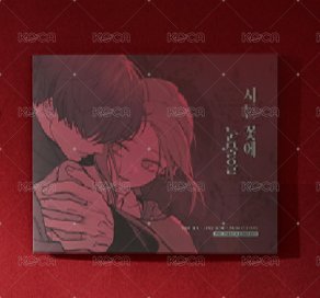 K-MONSTAR DREAM MALL 透明卡 透卡組 背面