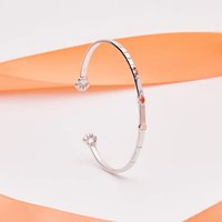 alban WishesAndWonders