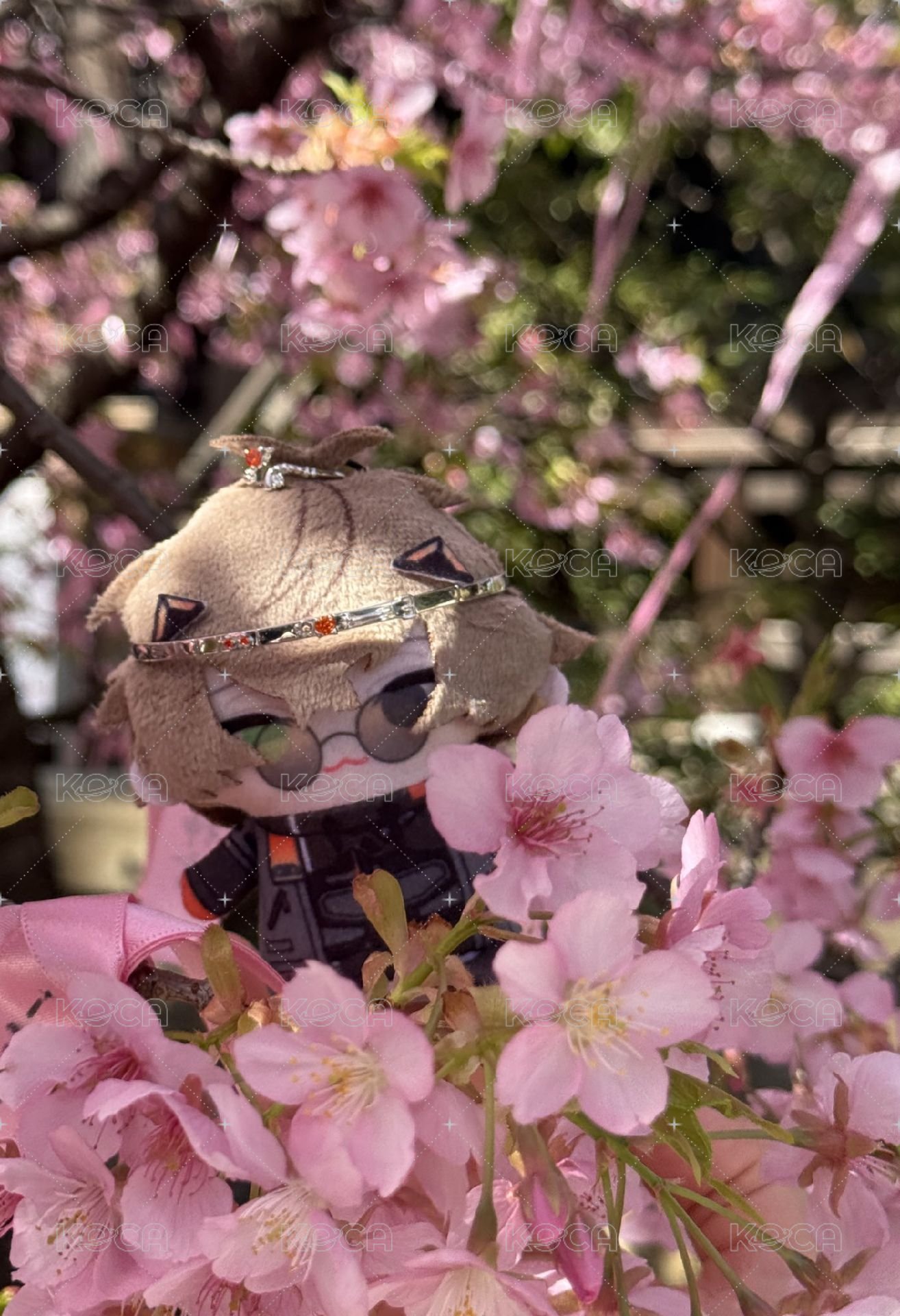 alban WishesAndWonders