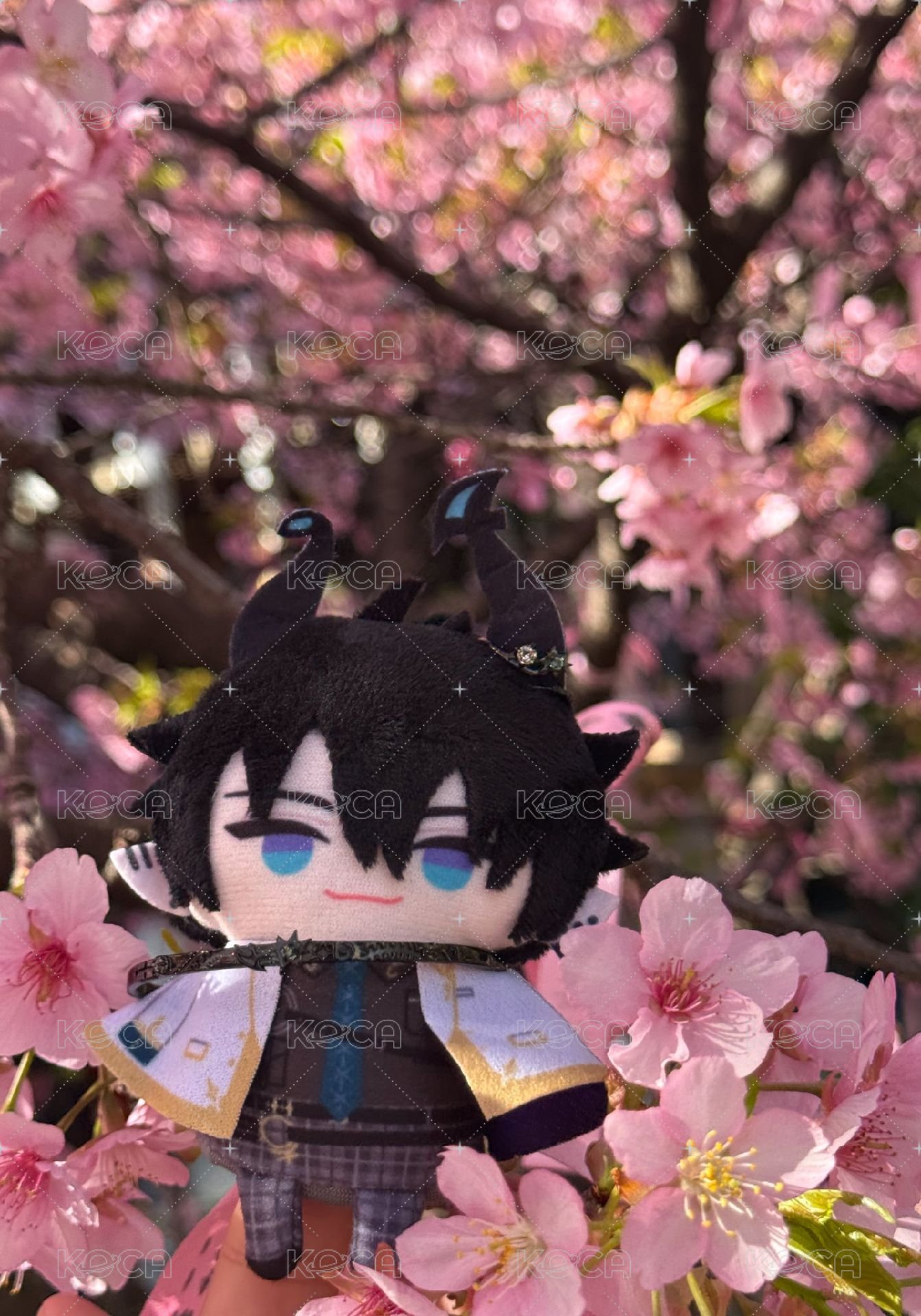 ren WishesAndWonders