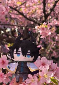 ren WishesAndWonders