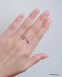 freodore WishesAndWonders