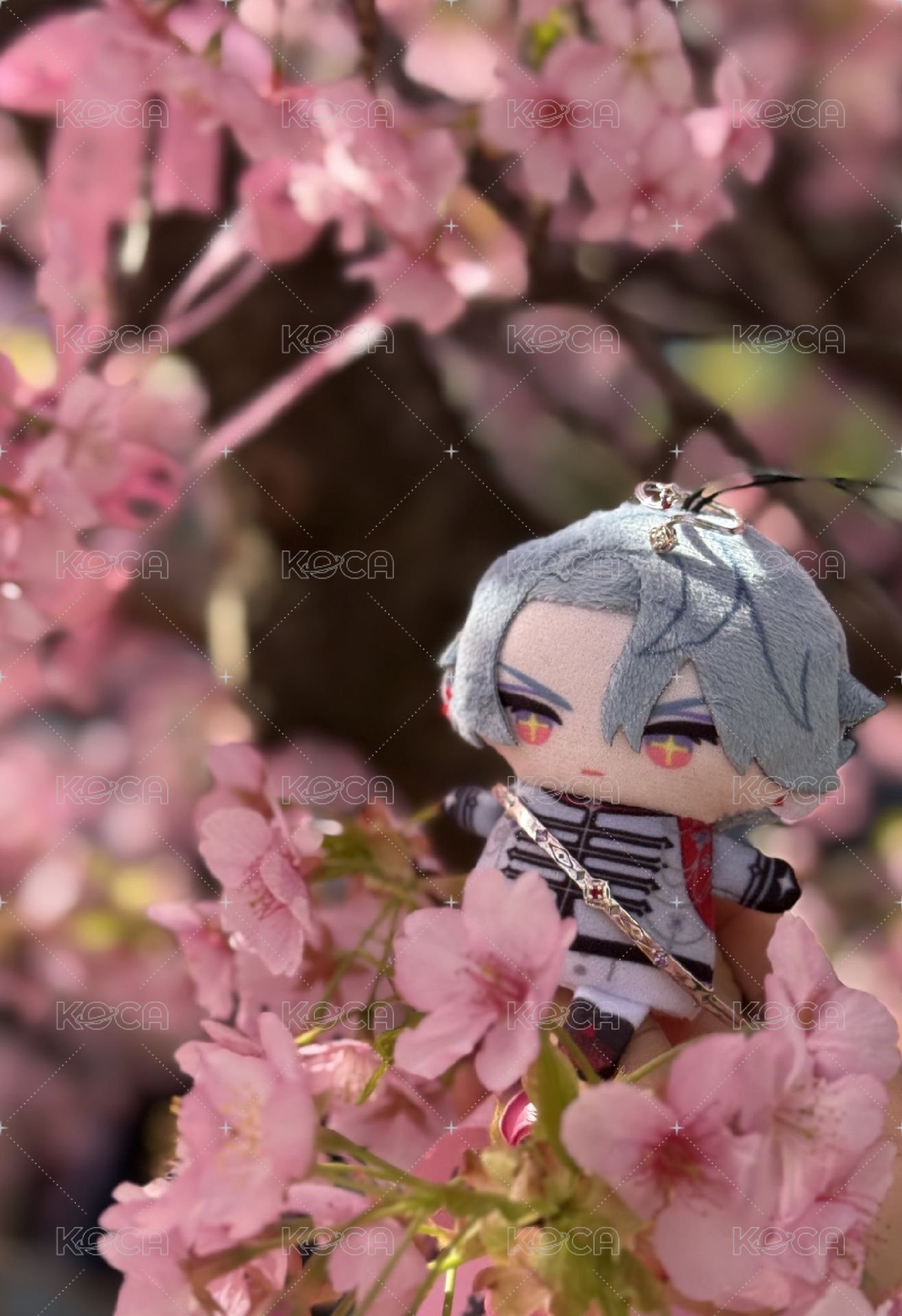 freodore WishesAndWonders