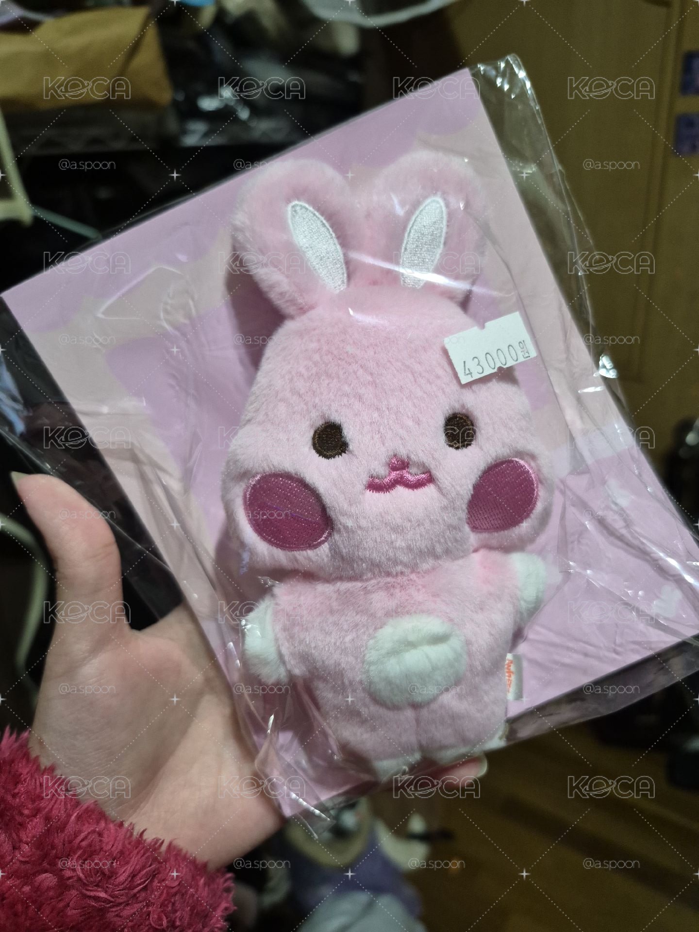 豆豆眼小兔