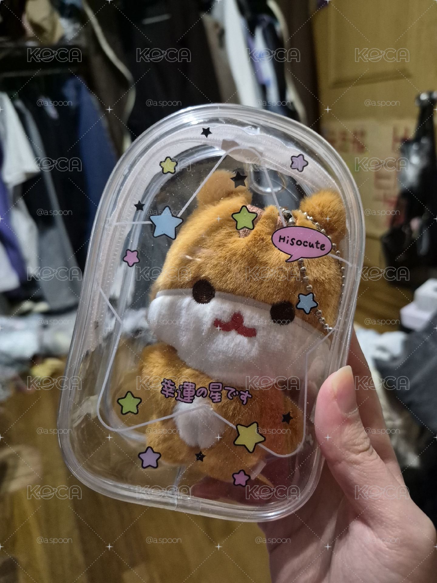 豆豆眼小鼠