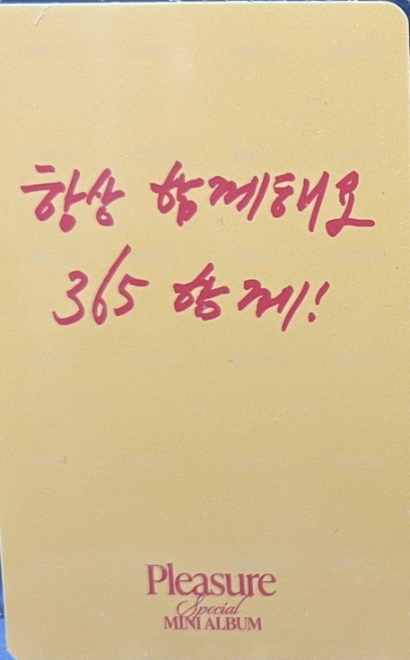 PLEASURE   團封 Yellow ver. 專輯卡  背面