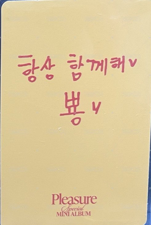PLEASURE   團封 Yellow ver. 專輯卡  背面