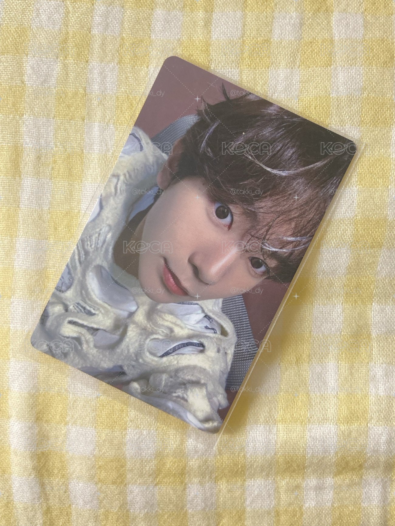 NCT WISH-Steady MA簽售卡Ryo 