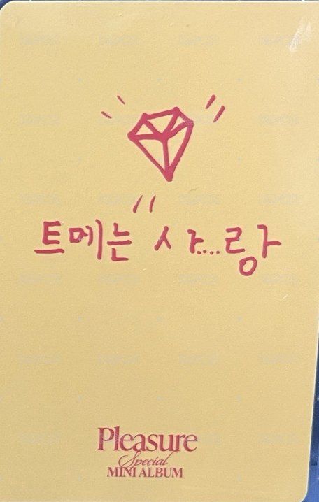 PLEASURE   團封 Yellow ver. 專輯卡  背面