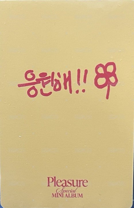 PLEASURE   團封 Yellow ver. 專輯卡  背面