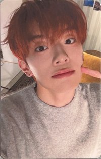 璨綠時光 日場 卡包卡 隨機卡 