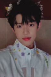 蝴蝶效應 隨機卡 蝴蝶效應 家族卡