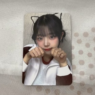 QWER 迷一 貓咪丹