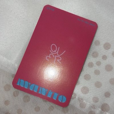 QWER 迷一 貓咪丹