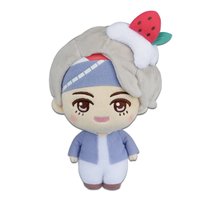 TinyTAN 中娃 一番賞 V賞 Sweet Time系列