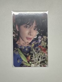 迷七數星星中背顯