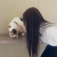 pscymar